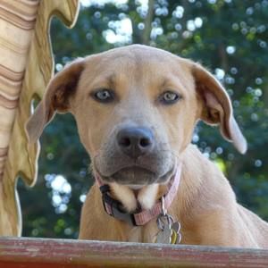 Meet your Posher, Ronald